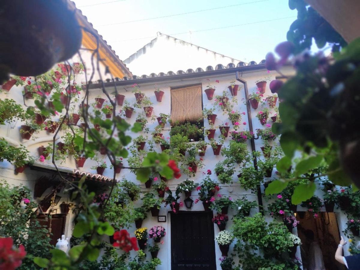 El Capricho De San Fernando, Consigna Gratis Y Parking A 200Mts Διαμέρισμα Κόρδοβα Εξωτερικό φωτογραφία