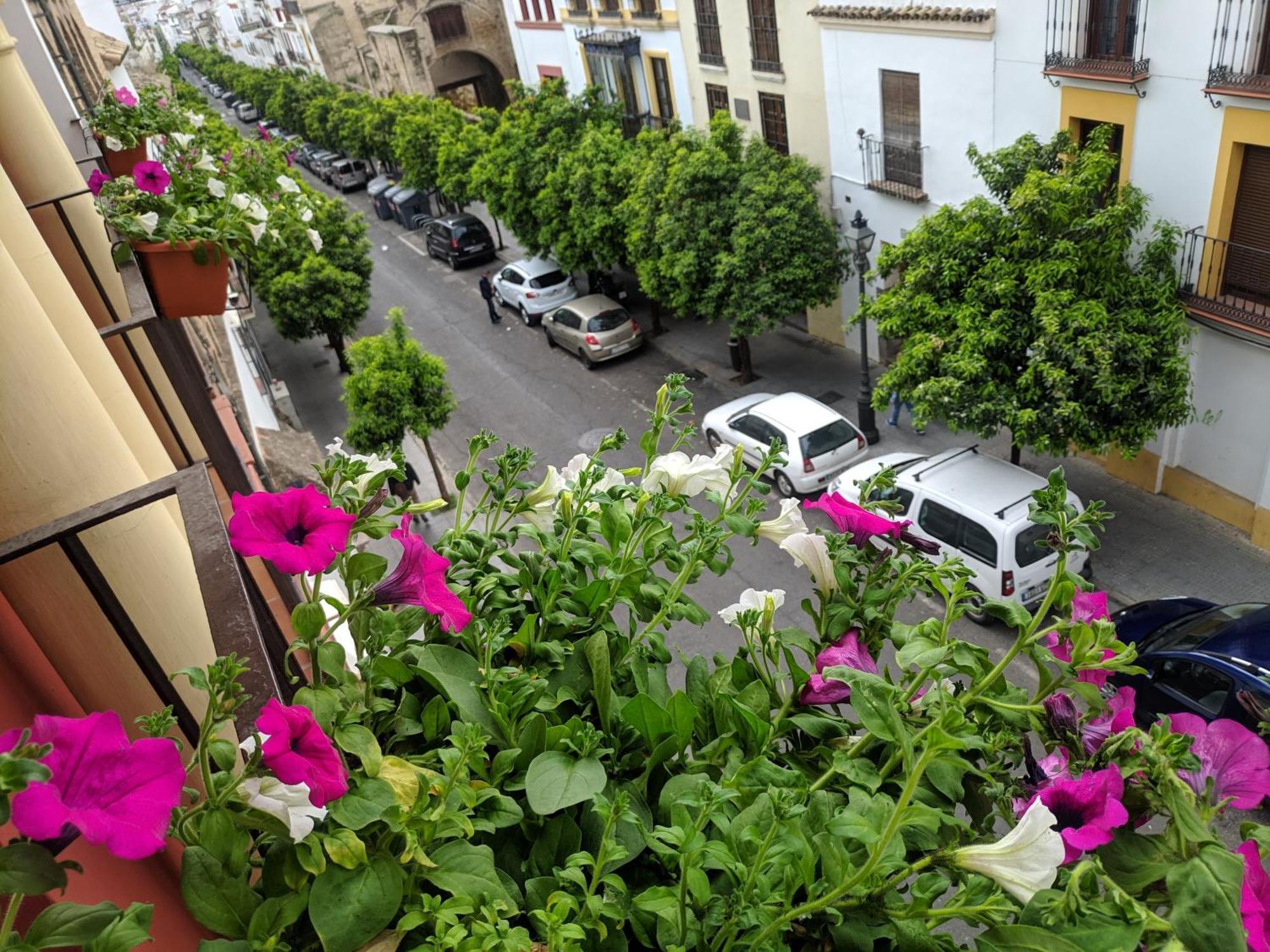 El Capricho De San Fernando, Consigna Gratis Y Parking A 200Mts Διαμέρισμα Κόρδοβα Εξωτερικό φωτογραφία
