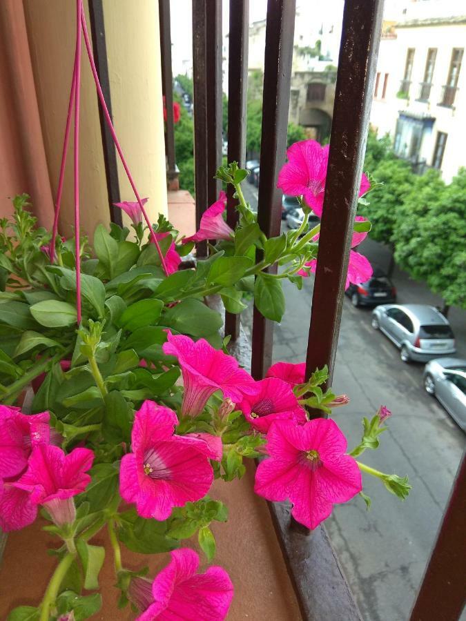 El Capricho De San Fernando, Consigna Gratis Y Parking A 200Mts Διαμέρισμα Κόρδοβα Εξωτερικό φωτογραφία